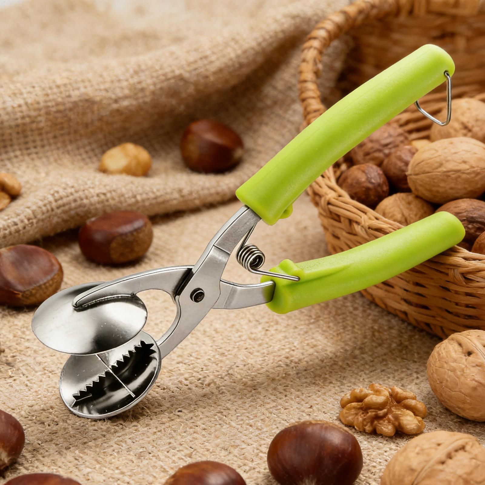 Kitchen Appliances On Sale - Stainless Chestnut Machine Kitchen Accessories Chestnut