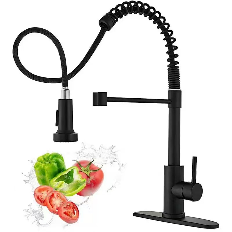 Stainless steel kitchen faucet - Kitchen Appliances White 评论和价格